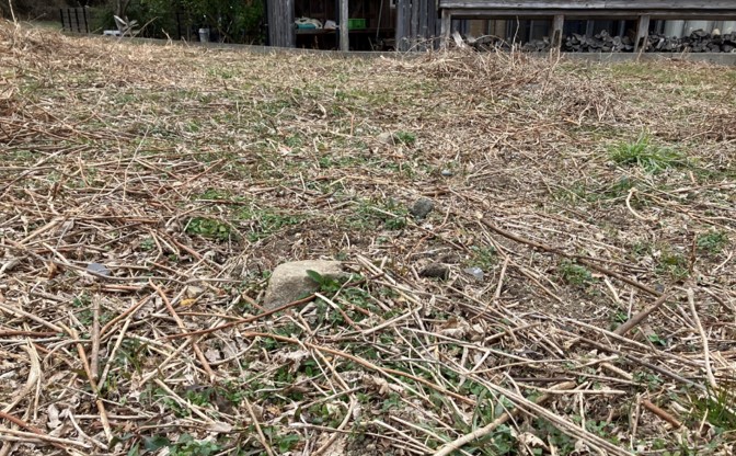 小石や草刈ごみ